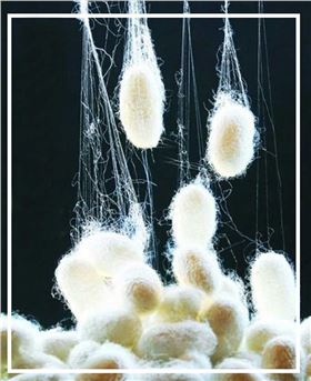 上海真絲絲巾&mdash;&mdash;真絲圍巾、真絲絲巾、圍巾定制