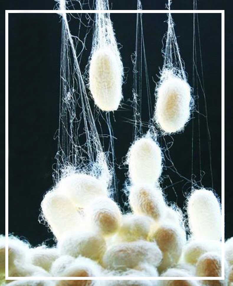 上海真絲絲巾&mdash;&mdash;真絲圍巾、真絲絲巾、圍巾定制